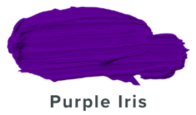 Purple Iris - Add-On Paint Color ($1.25 Each)-Maddie & Co.