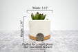 Personalized Teacher Flower Pot-Maddie & Co.
