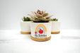 Personalized Teacher Flower Pot-Maddie & Co.